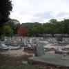 Australia Occidentale - Karrakatta Cemetery